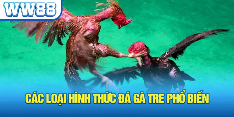 cac-loai-hinh-thuc-da-ga-tre-pho-bien_2_11zon