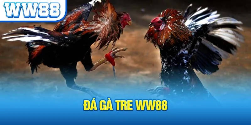 da-ga-tre-ww88_3_11zon